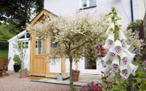holiday-cottage-forest-of-dean