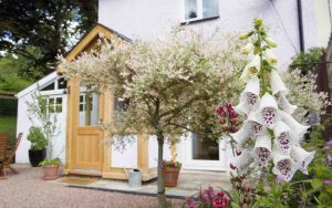 holiday-cottage-forest-of-dean
