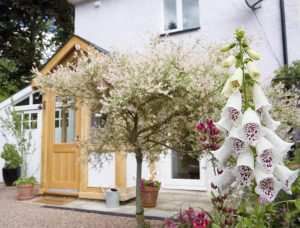 holiday_cottage_forest_of_dean