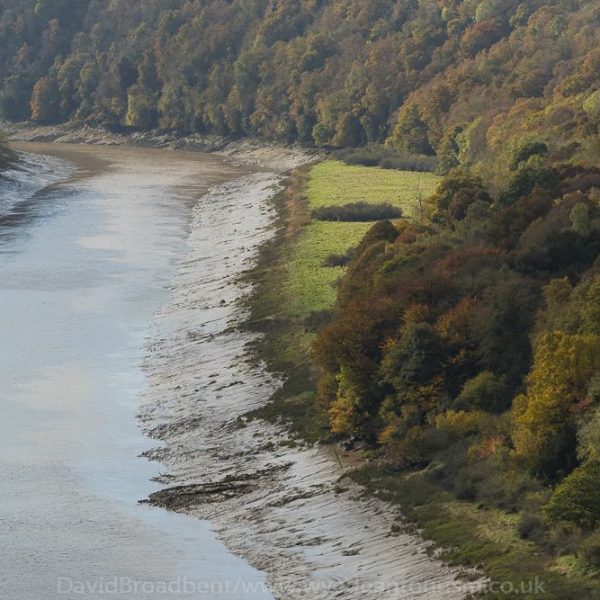 holiday-cottage-wye-valley