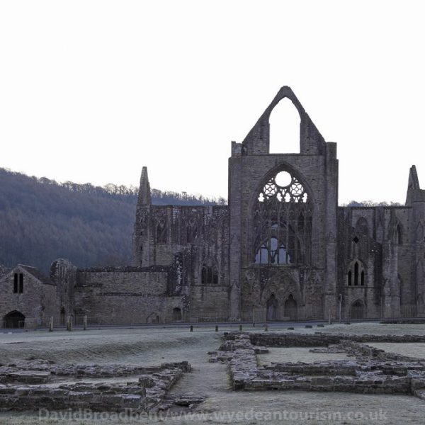 tintern-abbey